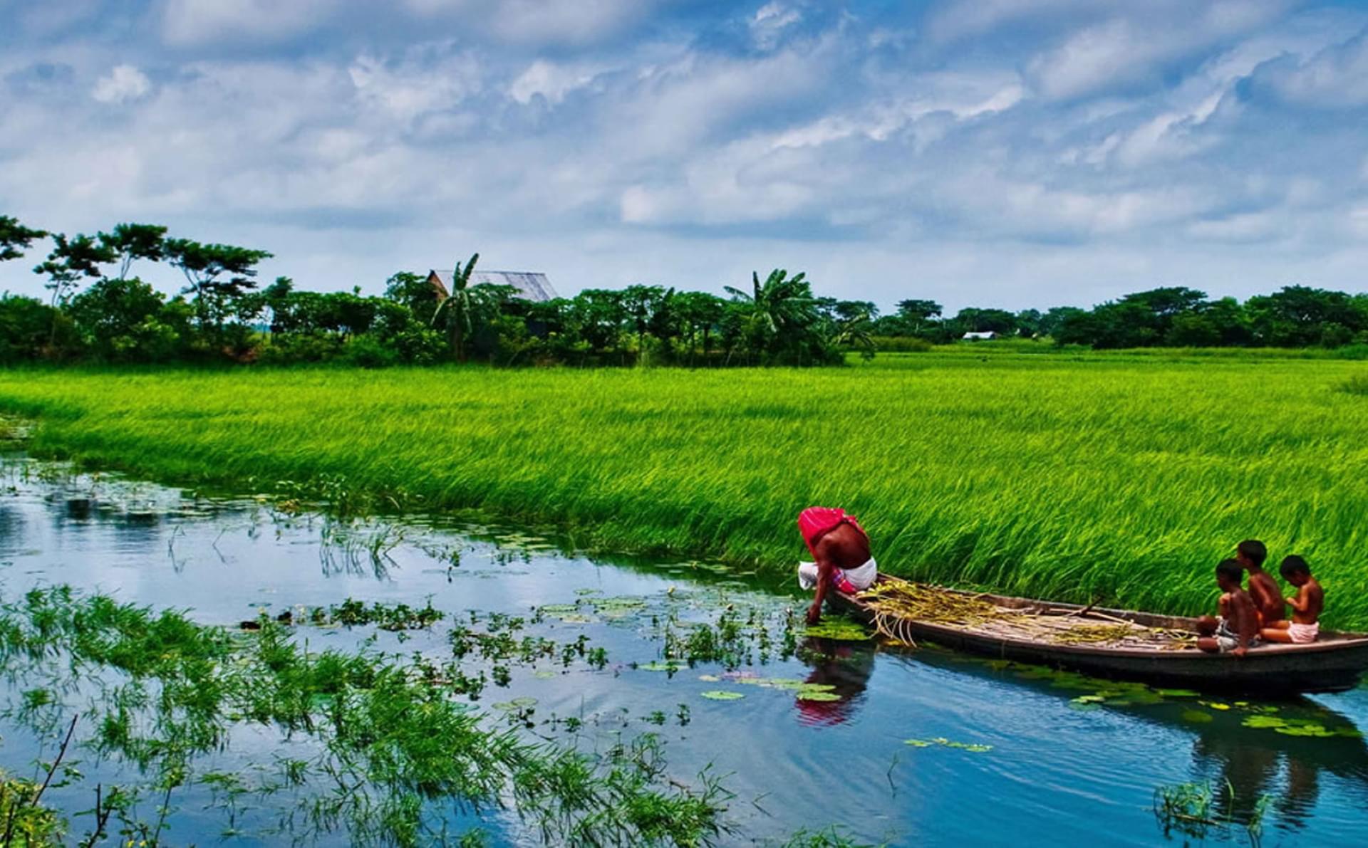 pipel on boat in gangel
